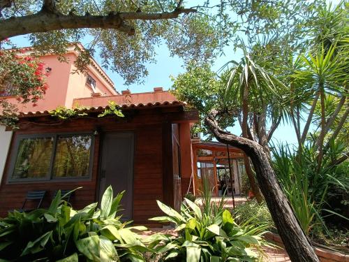 Taman di luar B&B Villa Lidia