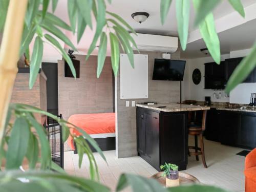 a room with a bed and a kitchen with a table at Casa Cacho in Tijuana