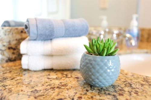 a plant in a vase on a counter with towels at Dolphin Bay in Boca Ciega Resort - 2BR, Pool, Bay View in St Petersburg