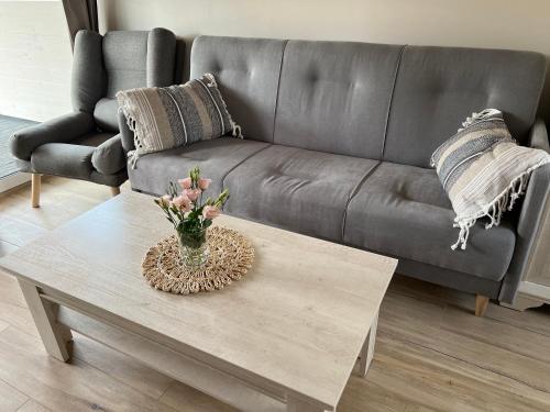 a living room with a couch and a coffee table at oBłędne Chaty in Wünschelburg