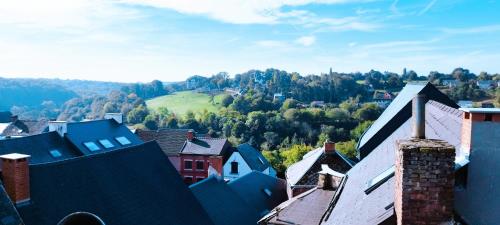 une vue aérienne sur une ville avec des maisons et des arbres dans l'établissement OPALENSIA, à Thuin