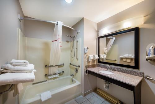 a bathroom with a tub and a sink and a mirror at Red Roof Inn Jasper in Jasper