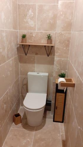 La salle de bains est pourvue de toilettes avec 2 plantes. dans l'établissement Casa Sierra -Etretat, à Sainte-Marie-au-Bosc