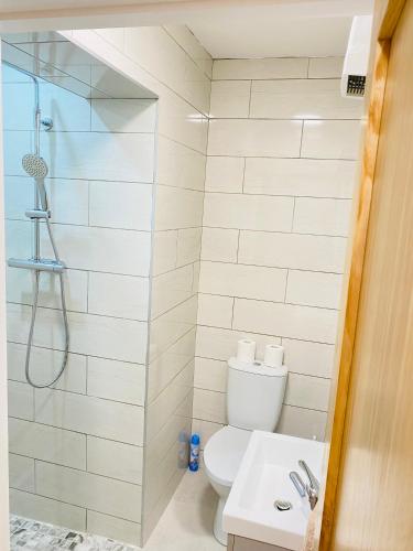 a bathroom with a shower and a toilet and a sink at Portmagee Village Apartments in Portmagee