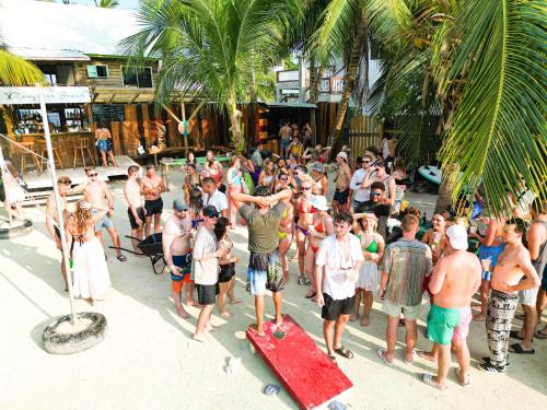 ผู้เข้าพักที่ Bella's Backpackers Hostel