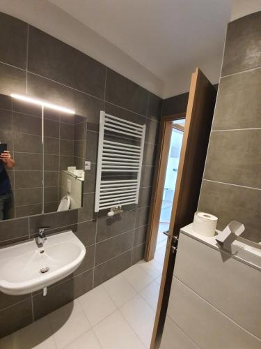 a bathroom with a sink and a mirror at SDP Meder B401 Apartment in Budapest