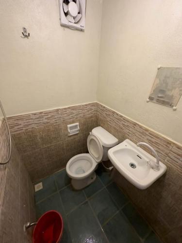 a bathroom with a toilet and a sink at Darpins Guesthouse in Dauin