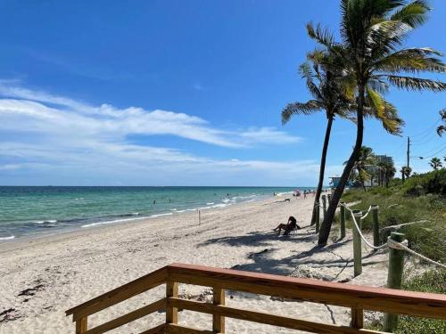 a sandy beach with a palm tree and the ocean at Cozy AirportHouse 5 min del aeropuerto WiFi parking privado in Dania Beach