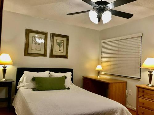 Pool House in Tropical Miami photo 16