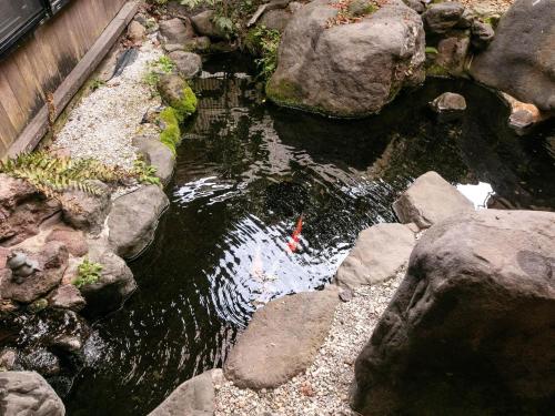a stream of water with rocks in a garden at Tsuruya / Vacation STAY 59052 in Miyaji