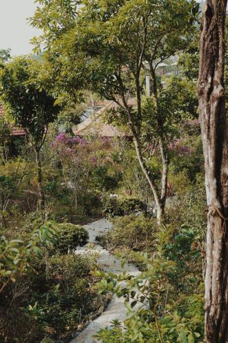 a path through a garden with trees and flowers at Samma Stay Tam Đảo in Tam Ðảo