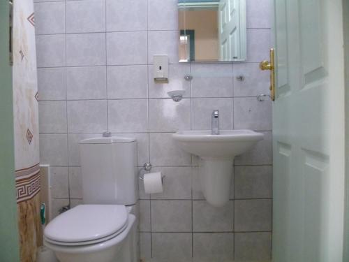 a small bathroom with a toilet and a sink at Yakut Apart Hotel in Dalyan