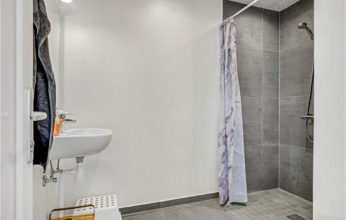 ein Bad mit einem Waschbecken und einer Dusche in der Unterkunft Nice Home In Bogense With Wifi in Bogense