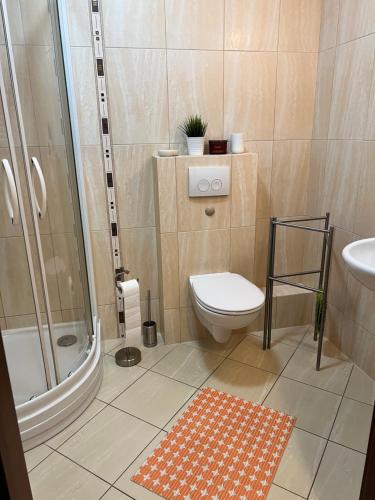 a bathroom with a shower and a toilet and a sink at Apartament Villa Concha in Świnoujście