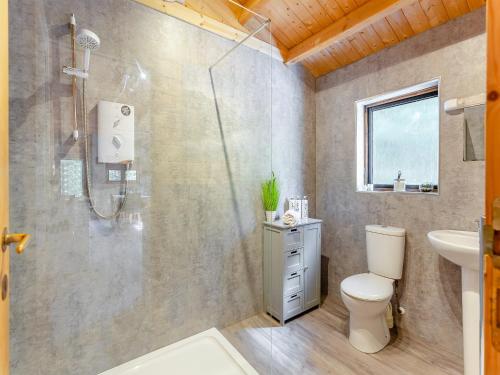 a bathroom with a shower and a toilet and a sink at The Willows in Glencoe
