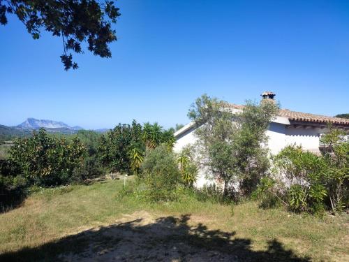 a house in the middle of a field with trees at Villa Valfrida in San Teodoro