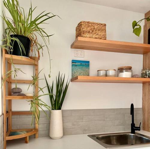 a kitchen with wooden shelves and a sink with plants at Viola - Seaside Retreat in Coles Bay