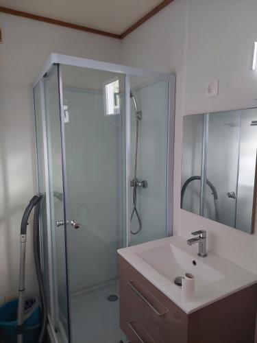 une salle de bain avec une douche et un lavabo et une douche dans l'établissement Chalet des Lucioles, à Montréal