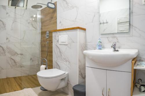 a bathroom with a toilet and a sink and a shower at Apartment Černetič in Portorož