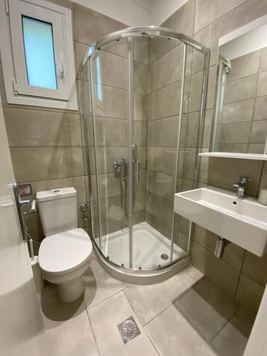 a bathroom with a shower and a toilet and a sink at Villa Panorama Astrakeri Beach in Astrakeri