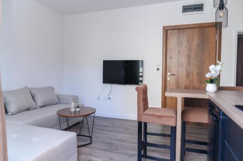 a living room with a couch and a table at Apartmani ZAT in Soko Banja