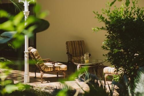 Κήπος έξω από το Monzi Safari Lodge