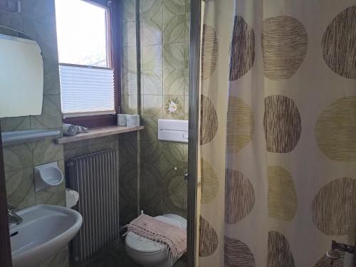 a bathroom with a shower and a toilet and a sink at Brunnerhof in Naturno