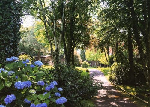 a path through a garden with blue flowers and trees at Ruthern Valley Holidays in Lanivet