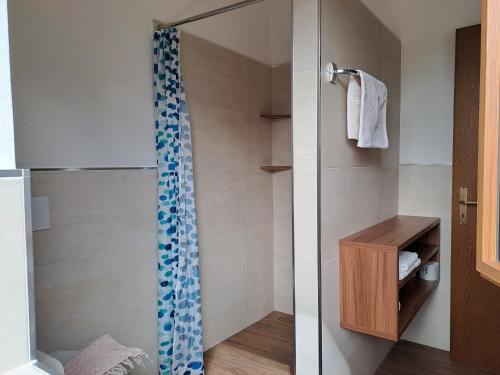 eine Dusche mit Glastür im Bad in der Unterkunft Brunnerhof in Naturns