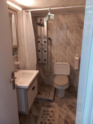 ein Bad mit einem WC, einer Dusche und einem Waschbecken in der Unterkunft Konstantina’s House in Palaió Tsiflíki
