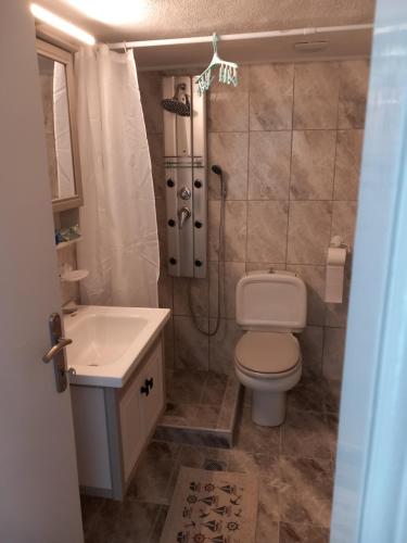 a bathroom with a toilet and a shower and a sink at Konstantina’s House in Paleo Tsifliki
