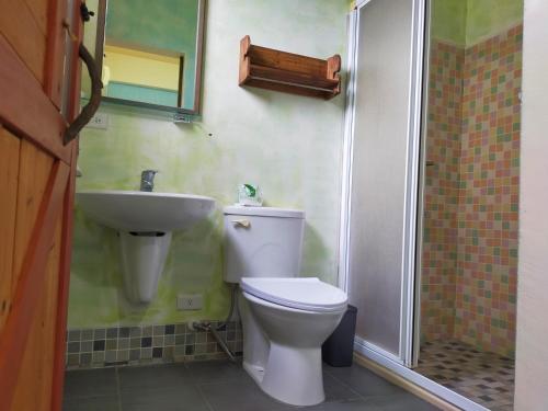 uma casa de banho com um WC e um lavatório em Mei Shiou B&B em Dongshan