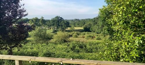 Bas-armagnac en Gascogne – Photos 3