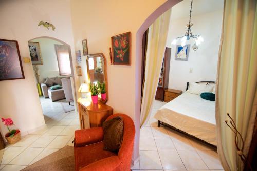 a bedroom with a bed and a chair and a mirror at Villa Makrades Deluxe in Makrádes