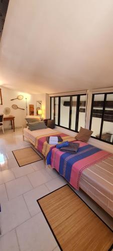 2 Betten in einem großen Zimmer mit Fenstern in der Unterkunft Villa Casa Ismaia avec piscine au calme in Montauroux