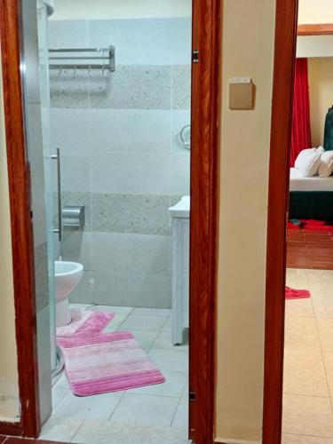 a bathroom with a glass shower and a toilet at Luxurious 2bedroom furnished apartment in Nairobi