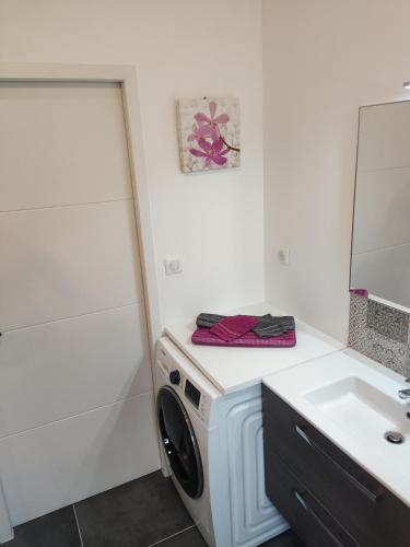 une machine à laver dans une salle de bain à côté d'un lavabo dans l'établissement Villa Maya Blanca Super Double Week, à Lorgues