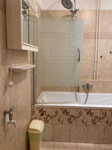 a bathroom with a tub and a toilet and a sink at Gogol24 in Szeged