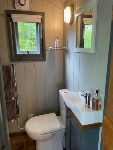 een kleine badkamer met een toilet en een wastafel bij Greatwood Shepherds Hut in Battle