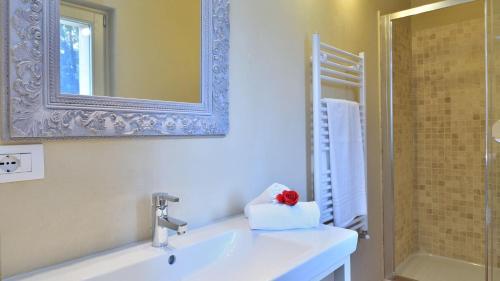 ein Bad mit einem Waschbecken, einem Spiegel und einer Dusche in der Unterkunft Il Mirto in Gavorrano