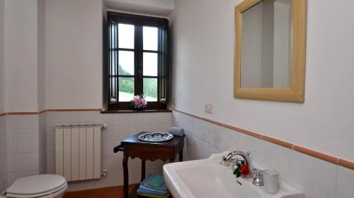 ein Badezimmer mit einem Waschbecken, einem WC und einem Spiegel in der Unterkunft Melograno in Roccalbegna