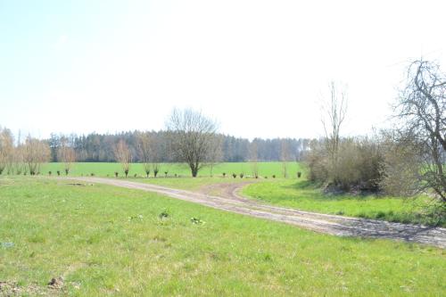 a dirt road in the middle of a field at Dvůr Dolenec in Rohoznice