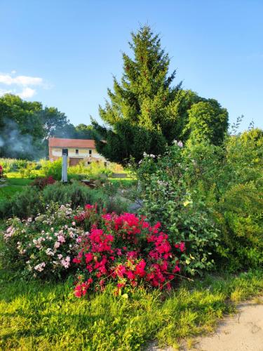 a garden of flowers with a house in the background at Dvůr Dolenec in Rohoznice