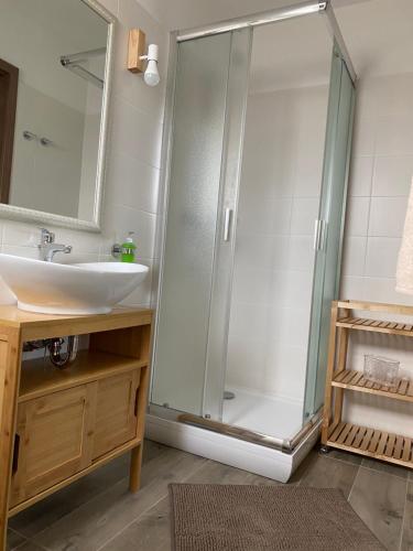 uma casa de banho com um chuveiro, um lavatório e um espelho. em Helga Vendégház em Budaörs