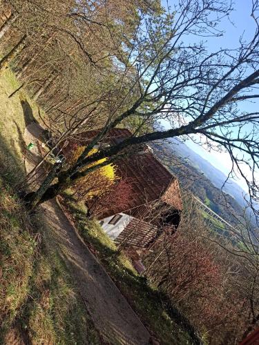 une maison au bord d'une colline avec un arbre dans l'établissement serenity, à Dramlje
