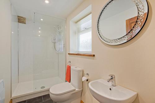 a bathroom with a toilet and a sink and a mirror at Tom's cabin in Knaresborough