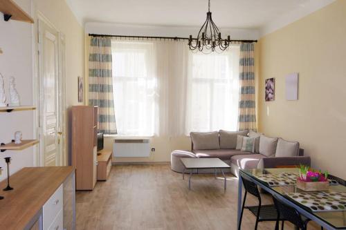 Nice big apartment in the city center