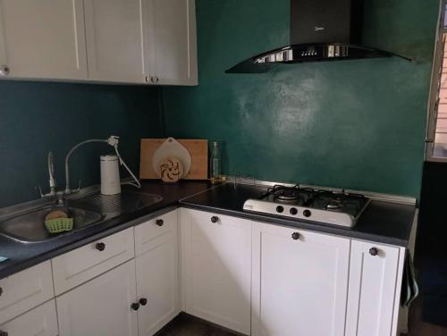 a kitchen with a stove and a green wall at Fusion Villa in Bedung