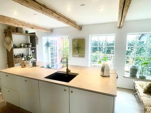 a kitchen with a counter with a sink and two windows at Vidunderligt hus m/egen gårdhave - midt i centrum in Aalborg