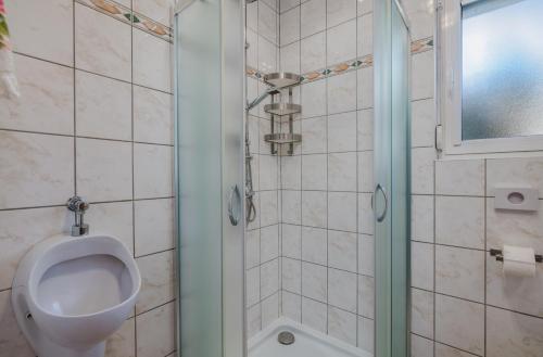 a bathroom with a toilet and a glass shower stall at Holiday home Nika in Linardići